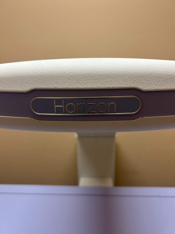 Hologic Horizon DEXA branding detail